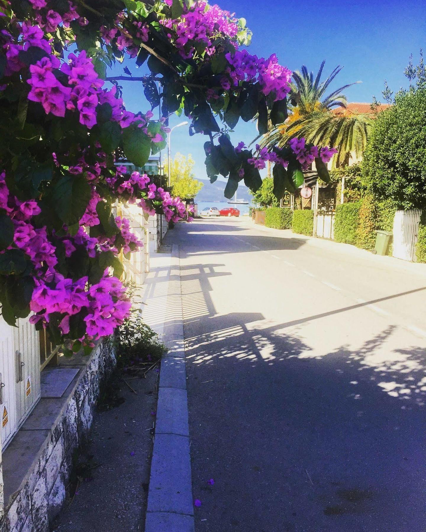 Splendido Bay